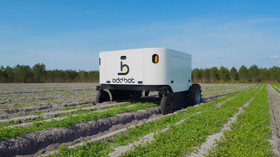 Odd.bot's autonomous robot weeder called Maverick in a field