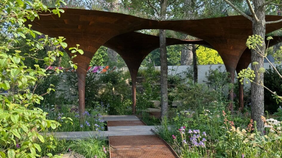 WaterAid Garden RHS Chelsea 2024