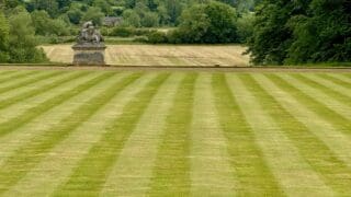 Rousham front lawn