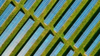 Solar panels in field