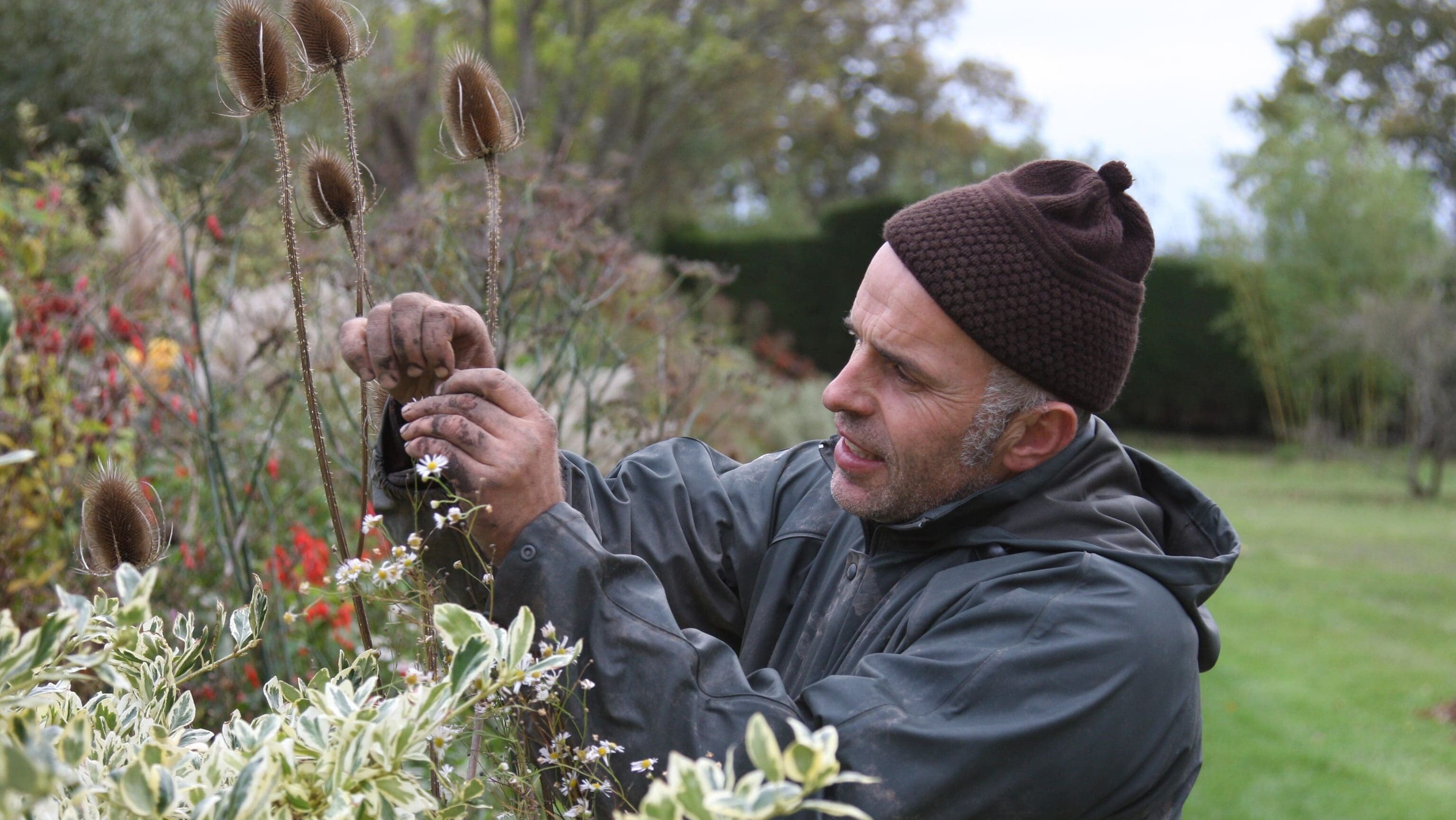 Fergus Garrett Head Gardener Great Dixter