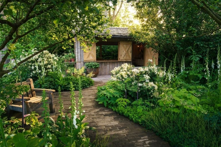 Stuart Medhurst Rhs Golden success: NGS Impact report RHS Chelsea Show Garden