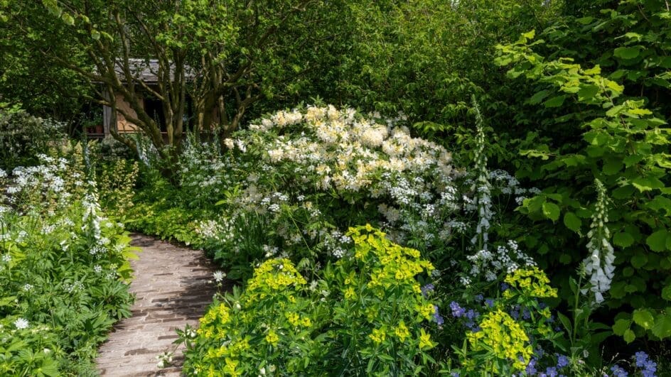 The National Garden Scheme Garden. Designed by Tom Stuart-Smith. Sponsored by Project Giving Back. In support of National Garden Scheme. Show Garden. RHS Chelsea Flower Show 2024. Site no. 320