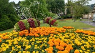 Bath in Bloom Parade Gardens