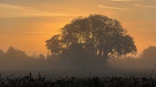 Oxfordshire sunrise