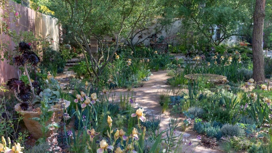 The Nurture Landscapes Garden. Designed by Sarah Price. Sponsored by Nurture Landscapes. Show Garden. RHS Chelsea Flower Show 2023. Stand no 323.