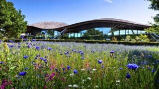 The Pictorial Meadows at the Savill Garden