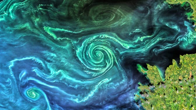 Swirling plankton