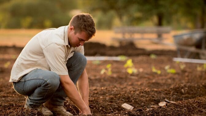 Young gardener