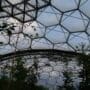 The Eden Project