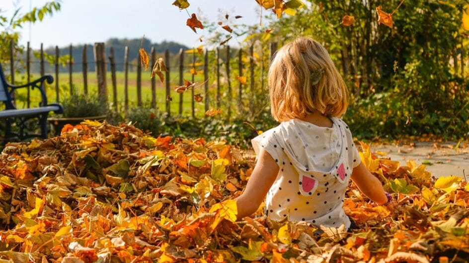 girl, playing, leaves