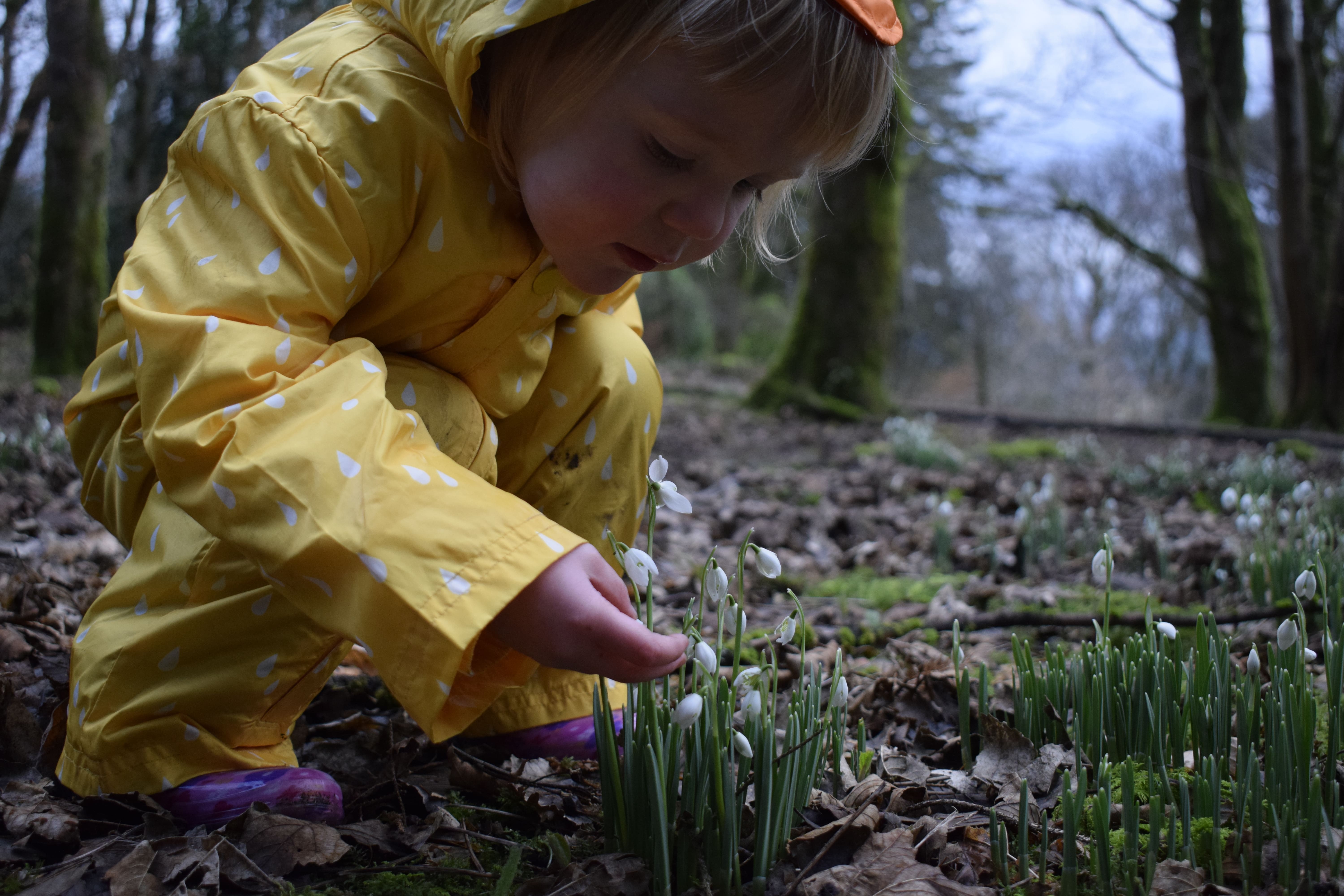 Little girl admiring snow drops t Finlaystone Country Estate) Photo Credit Caroline Gould