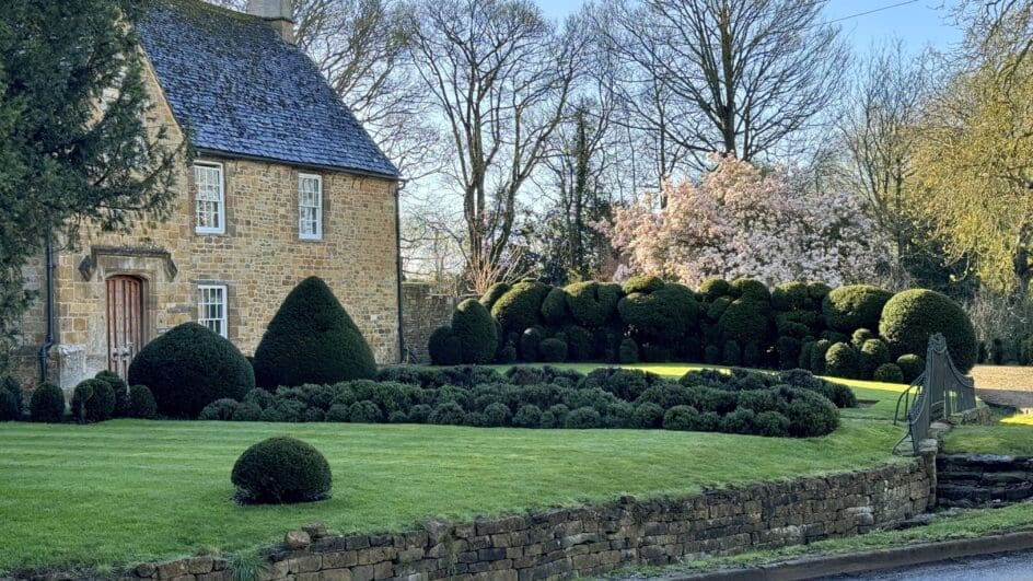 Front garden Oxfordshire with cloud pruned hedge