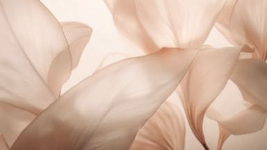 pantone color mousse