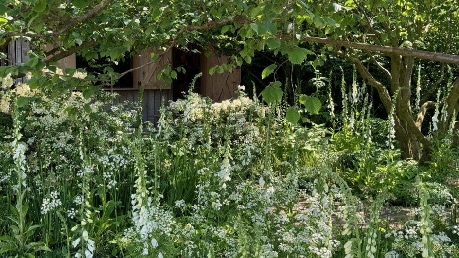 National Garden Scheme Garden at the RHS Chelsea Flower Show designed by Tom Stuart Smith