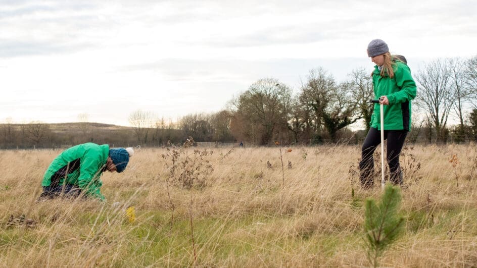 Experimental fungi translocation aims to restore nature beneath the soil in Yorkshire woodland