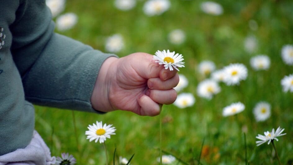 Child's hands