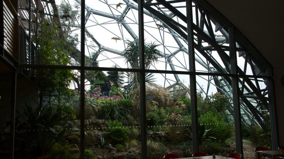 The Eden Project