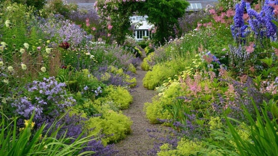 Carolside garden for the Scottish Open Gardens taken by Rose Foyle