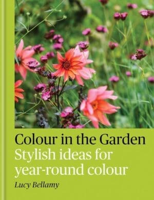 Front cover of Lucy Bellamy's new book: Colour in the Garden