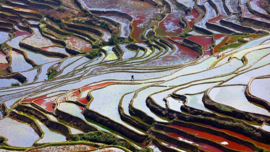 Work by Raymond Zhang entitled Walking on the palette for Earth Photo