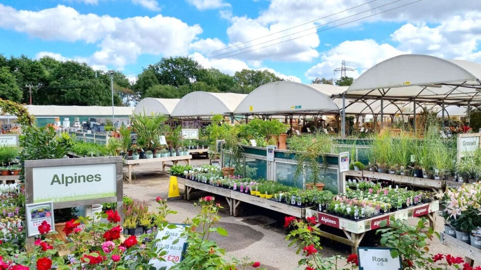 British Garden Centres plant centre