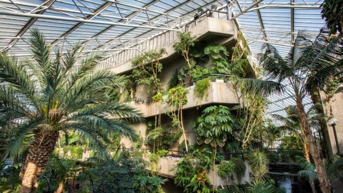 The conservatory in the Barbican with palm trees and tropical plants hanging from the balconies