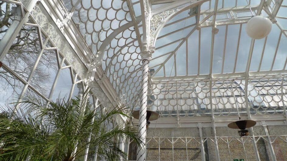 View towards the roof of the Victorian Horniman Museum glasshouse