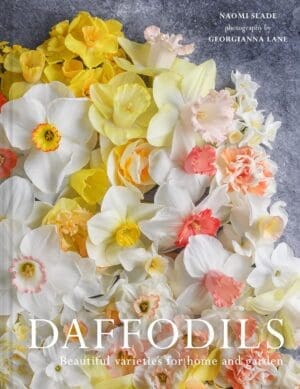 Book cover for 'Daffodils' featuring a bouquet of daffodils, written by Naomi Slade