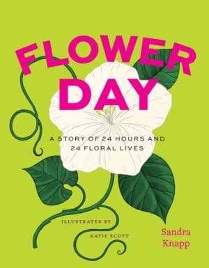 Front cover of the new book entitled Flower Day, featuring a drawing of large white flower