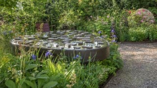 RHS Chelsea 2023 garden designed by Harris Bugg Studio