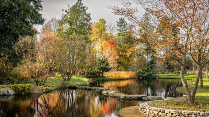 Garden designed by Sarah Eberle, of an Anglo-Japanese Strolling Garden with trees and lake, designed to create a sense of peace, meditation, and immersion in the healing complexities of nature.