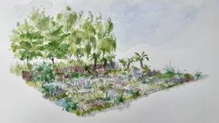 Design for the Hillier Show Garden planned for the Gardeners World Spring Fair Garden in 2025 featuring trees and perennial planting