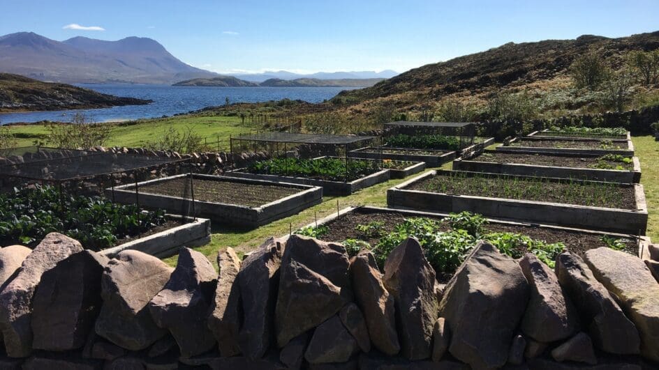 View of Tanera Mor in Scotland, looking to the sea over a kitchen garden with raised beds