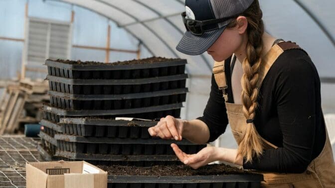 woman propagating plants in a polytunnel