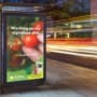 Mock up of vertical light box in a bus stop at night for the new Dobbies campaign