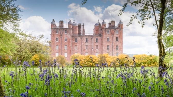 View of bluebells and Drumlanrig Castle in Scotland