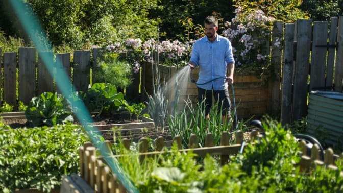 Huw Richards watering his vegetable garden