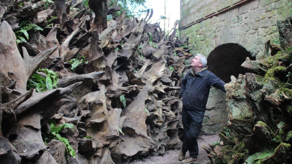 The Stumpery at Biddulph Grange Garden in Staffordshire