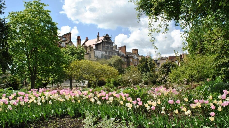 Chelsea Physic Garden, London, UK