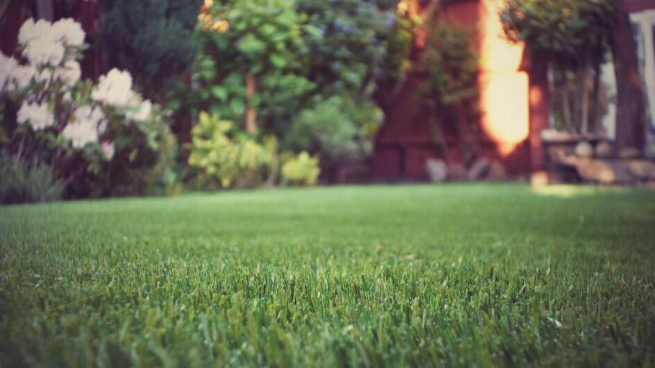 Artificial Grass Lawn