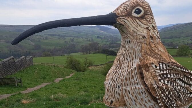 Matthew Trevelyan dressed in colossal curlew costume for his 53 mile walk to raise awareness of the bird's decline.