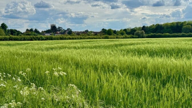 Image towards a village overlooking fields planted with grain in the Oxfordshire countryside