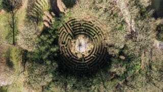 Image of a maze hedge seen from above