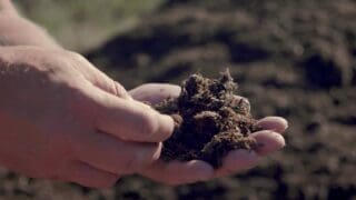 Peat free compost RocketGro