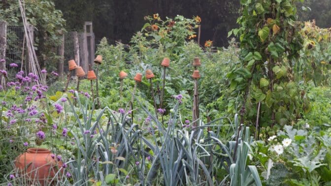 Tom Stuart Smith Studio Vegetable Garden