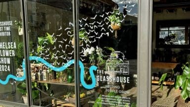 The Glasshouse charity shop front window