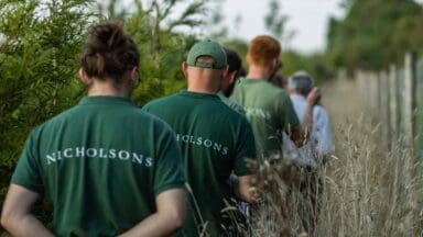 Landscaping team at Nicholsons