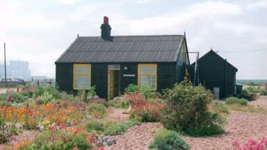 Derek Jarman's Prospect Cottage Garden at Dungeress in Kent