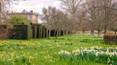 Highgrove gardens in the spring